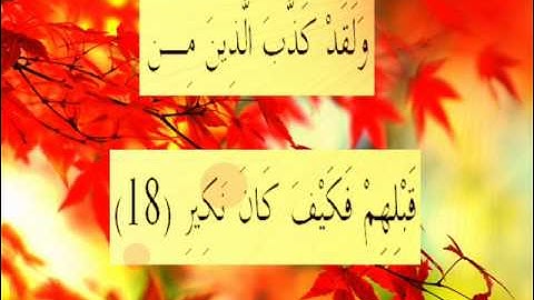 القران الكريم سورة الملك الأية 18.wmv