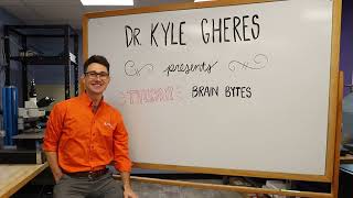 Thursday Brain Bytes - Episode 1 Brain Basics