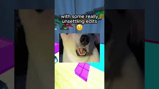 The SCARY New “Remember November 2026” Lore 😭🐻‍❄️ #meme