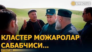 ДЕНОВДА КЛАСТЕР ВА ЧОРВАДОРЛАР МОЖАРОСИ: КЛАСТЕР НИЗОЛАР САБАБЧИСИ... - EFFECT.UZ