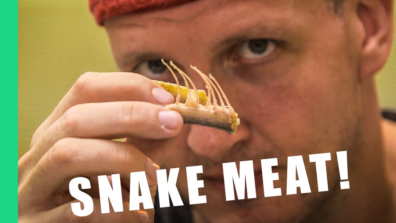 9 Reasons to eat snake in Taiwan | Best Ever Food Review Show