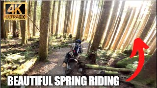 Beautiful Fall Dirt Biking in Washington State by NorthWest Dynasty 365 views 6 months ago 5 minutes, 18 seconds