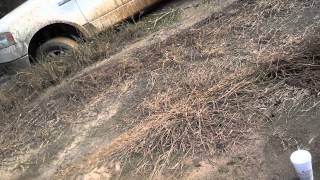 2005 F-150 Mudding