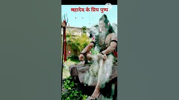 🥰🌹महादेव के प्रिय 🔱पुष्प । Mahadev motivational । Mahadev speech । #mahadev #har #suvichar #devo