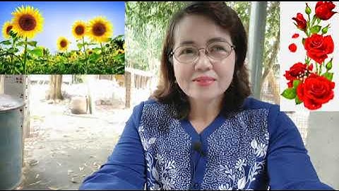 CHIA SẺ VỀ NGƯỜI VỢ CỦ CỦA ÔNG DỦNG LÒ VÔI .