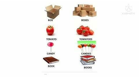 Bridge Course Subject-English Class-7th Activity no-20