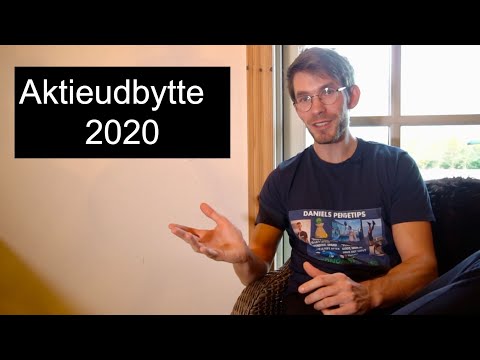 12.339,1 kr i udbytte - Mit aktieudbytte for 2020 (og sådan tjekker du dit)