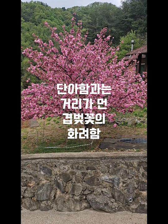 노루산천(norusancheon) - YouTube