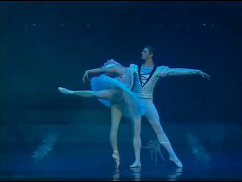 Grand Adagio "Swan Lake" Act2, No.13, A. Volochkova＆E.Ivanchenko