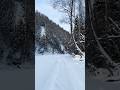 #дальнийвосток #природа #тайга
