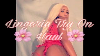 Shein Lingerie Try On Haul Ft Destiny Monae