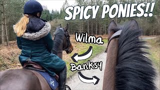 FUN FOREST RIDE with Meggy on our SPICY Ponies!!