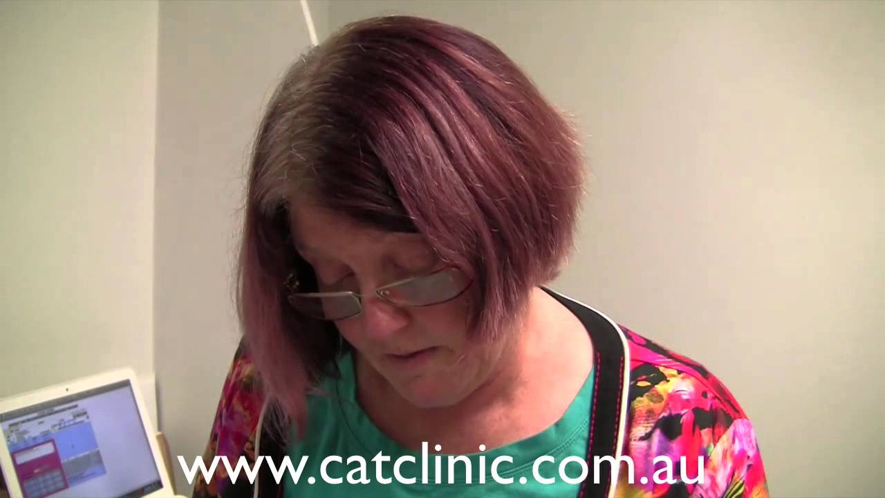 What to expect at your pet cats first vet examination