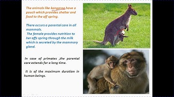 cooperative intra specific interactions  part 1