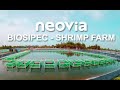 VIDEO 360 - Neovia Shrimp Farm in Vietnam (English)