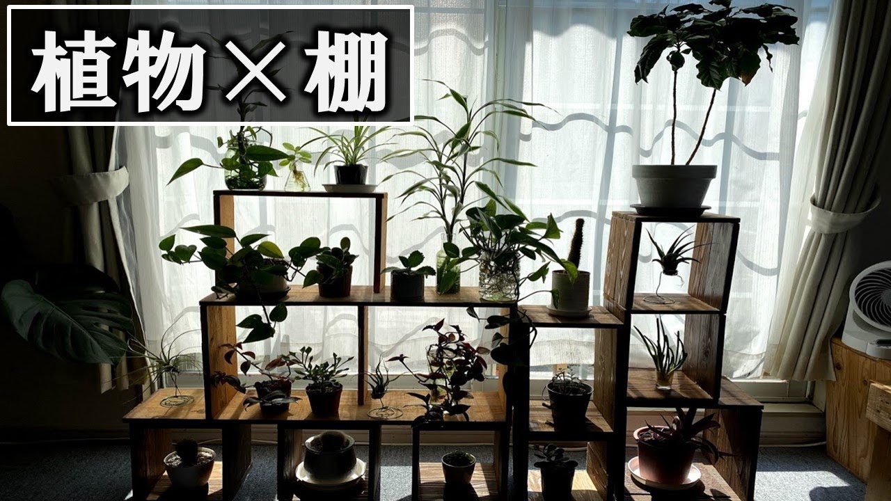 観葉植物 を飾る棚をdiy Youtube