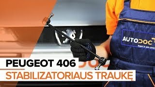 Kaip pakeisti Šarnyro stabilizatorius PEUGEOT 406 (8B) - vaizdo vadovas