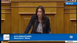 Όλγα Κεφαλογιάννη, Ολομέλεια- Σχέδιο Νόμου, 23-10-2018