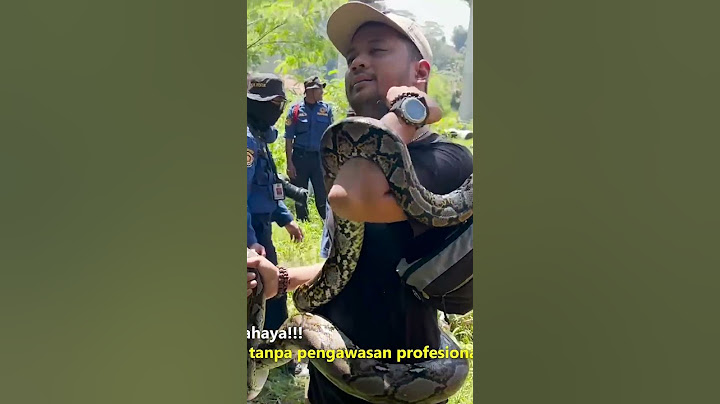 PANJI KASIH TIPS CARA MELEPASKAN LILITAN ULAR PYTHON !!
