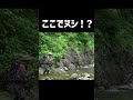 ここでヌシ岩魚かよ!? #shorts