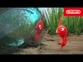 Treasure in a bottle  pikmin short movie