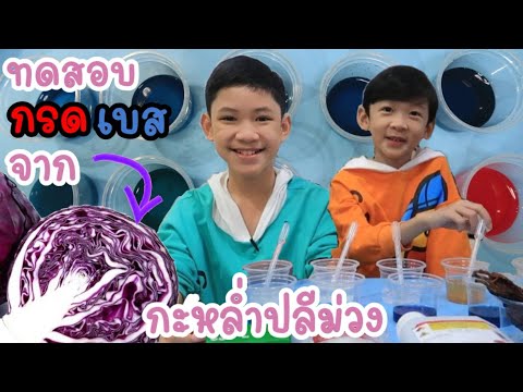 พี่น้อง(ทด)​ลองเล่น​ EP.3​ | การทดสอบกรดเบสจากกะหล่ำปลีม่วง