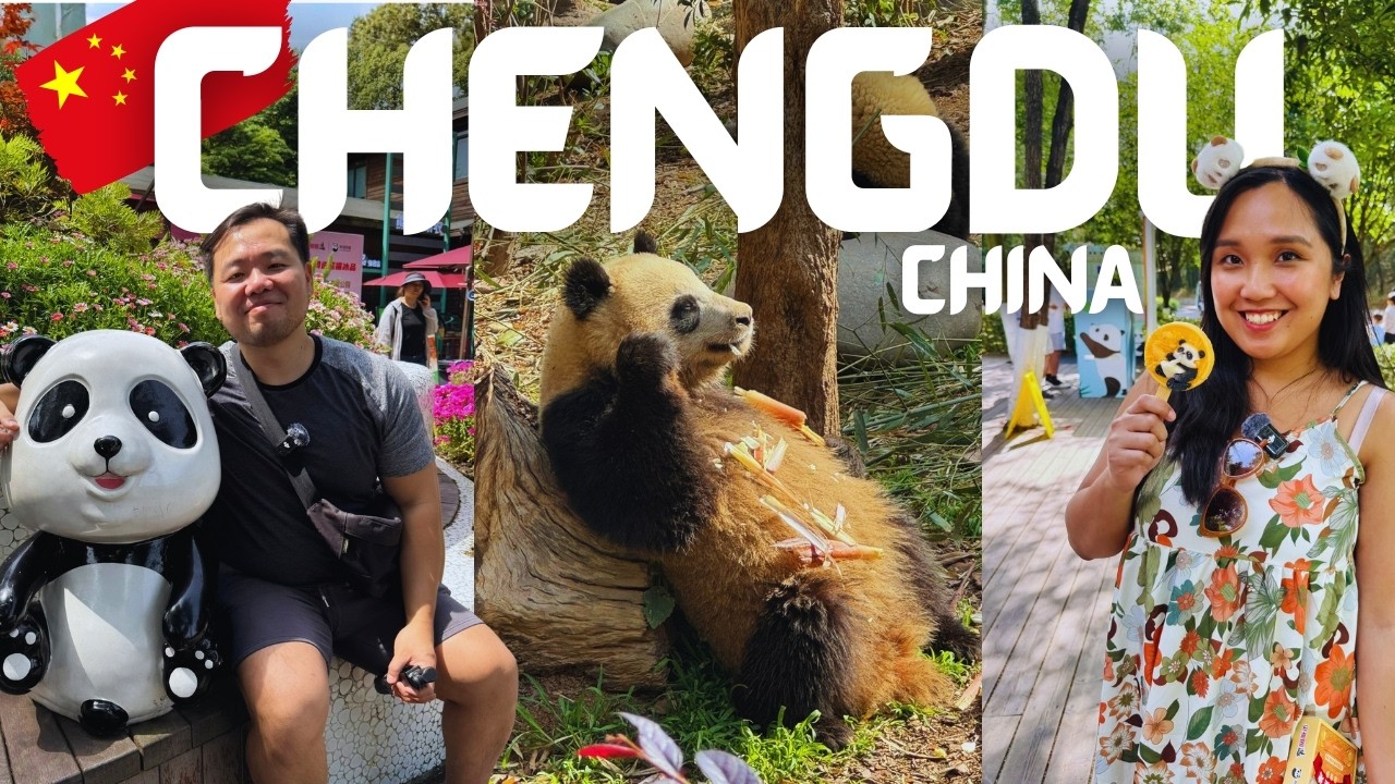 Мы посетили Город панд в Китае и вот что узнали... | Видеоблог о путешествиях в Чэнду