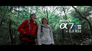 Sony a7sIII S-Cinetone + DJI RS2 (4K) ///LemonNing