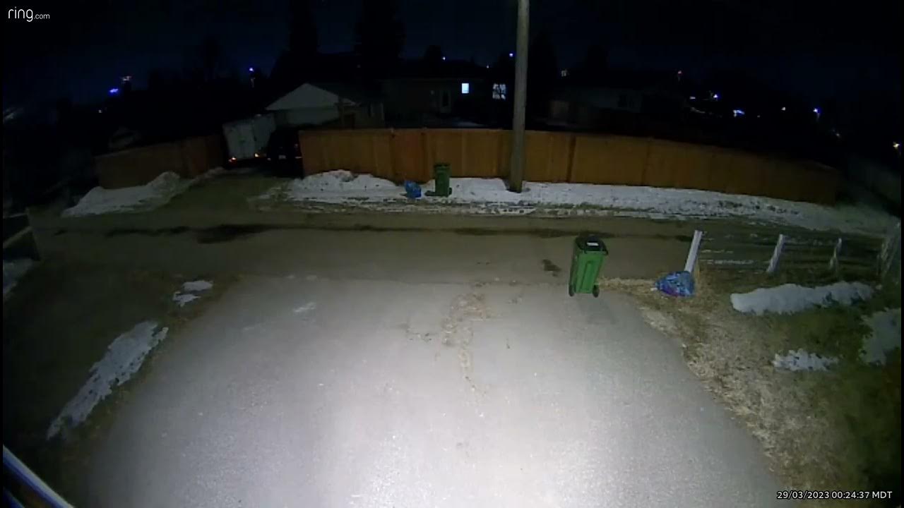 Someone kicks my recycling! Person detected by Ring security camera