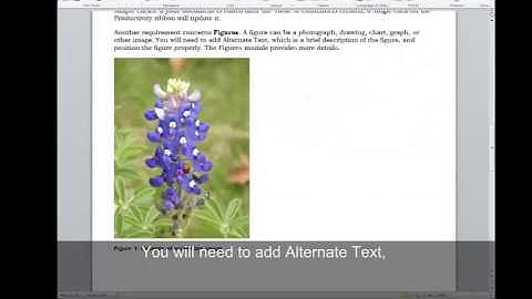 Creating Accessible Microsoft Word 2010 Documents
