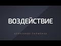 Воздействие. Александр Палиенко.