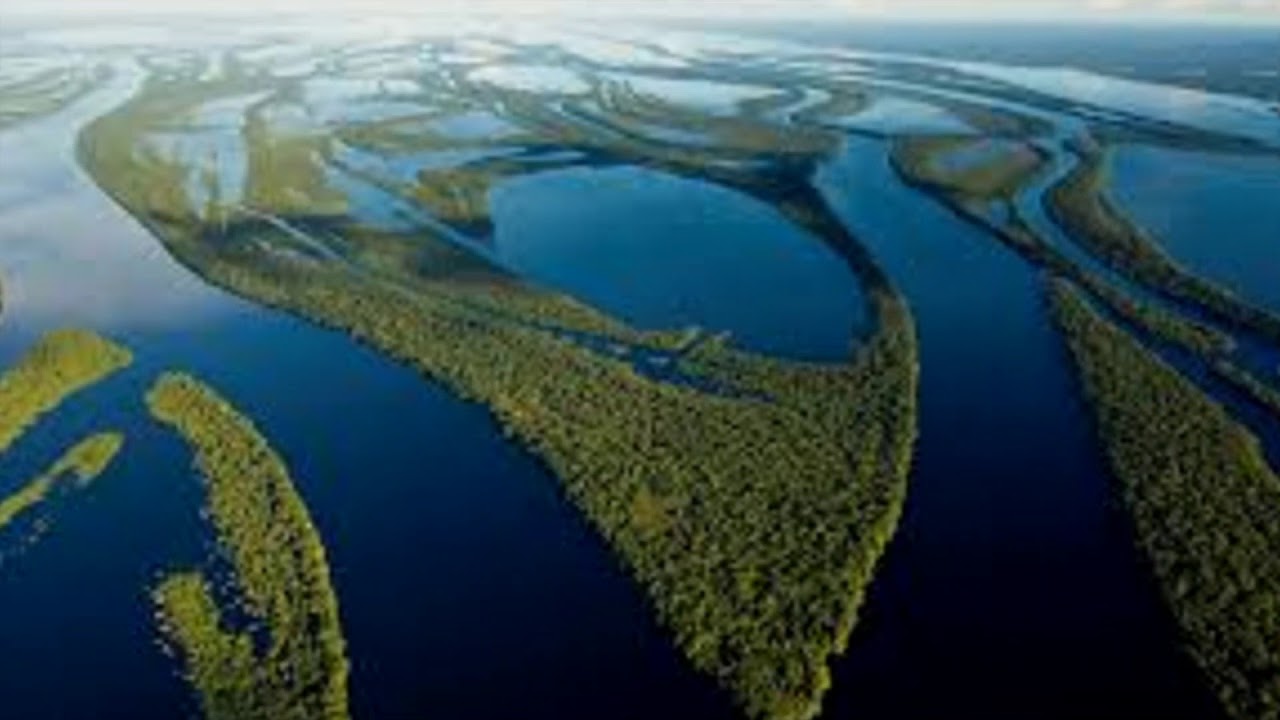 Дельта волги длина. Рио Негро река Бразилия. Амазонка и Рио Негро. Дельта реки Амазонка. Южная Америка река Риу негру.