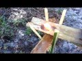 How to make torches in south florida