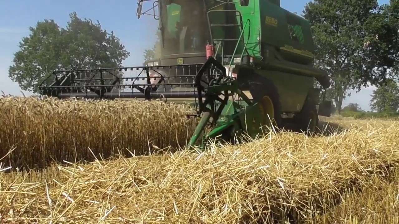 Triticale dreschen 2019 mit John Deere 1450 WTS