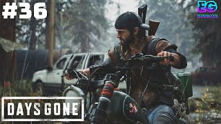 ОСВАИВАЮ НОВЫЕ ЗЕМЛИ #36 / Days Gone / Жизнь после на Русском