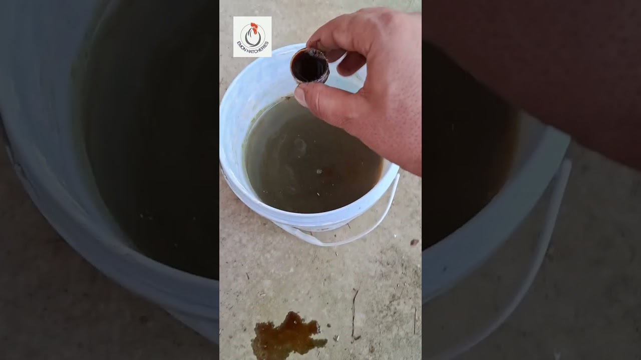 "Revolutionizing Waste Management: Success with NPB Solutions’ Odor-Eliminating Product"