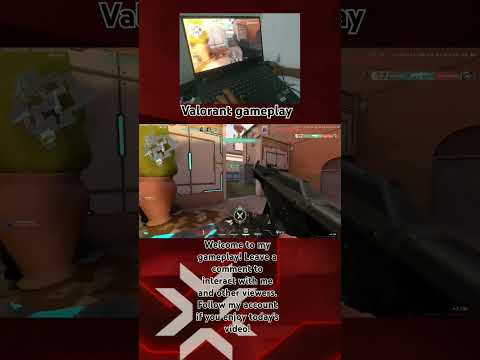hqdefault.jpg