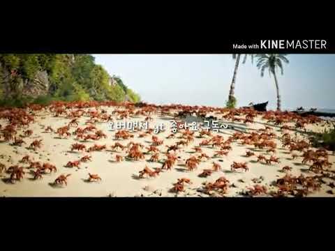 돌아온 치킨팝 먹방!!!!