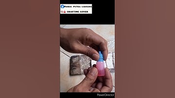 basmi tikus hama kelengkeng #short #perkebunan