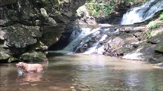 Bella at Sea Creek Falls