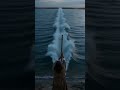 MOSES PARTING THE WATERS