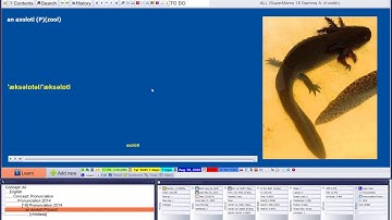 Incremental reading: Reviewing items only