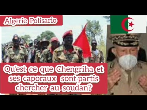 Algerie Polisario:  Qu'est ce que  Chengriha et  ses caporaux sont partis  chercher au  soudan?