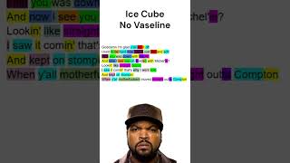 Ice Cube  No Vaseline rhymes Highlighted rap eminem hiphop rhymescheme rhymes icecube