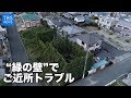 “緑の壁”でご近所トラブル【Nスタ545】