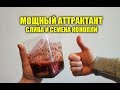 СЕМЕНА КОНОПЛИ И СЛИВА, МОЩНЫЙ АТТРАКТАНТ ДЛЯ РЫБАЛКИ СВОИМИ РУКАМИ, ПРИКОРМКА ДЛЯ КАРПА!