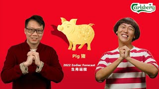 2022 Zodiac Forecast: Pig - Canto [Carlsberg x Joey Yap]