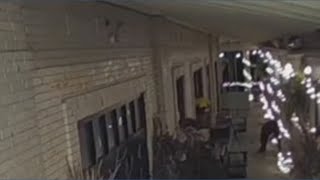Buffalo woman pleads guilty in case involving kids, restaurant vandalism