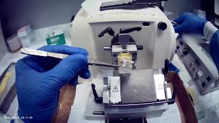 Microtome Hack: Using Parafilm to Start a Perfect Ribbon | 5 Micron Cuts 🔪🧫