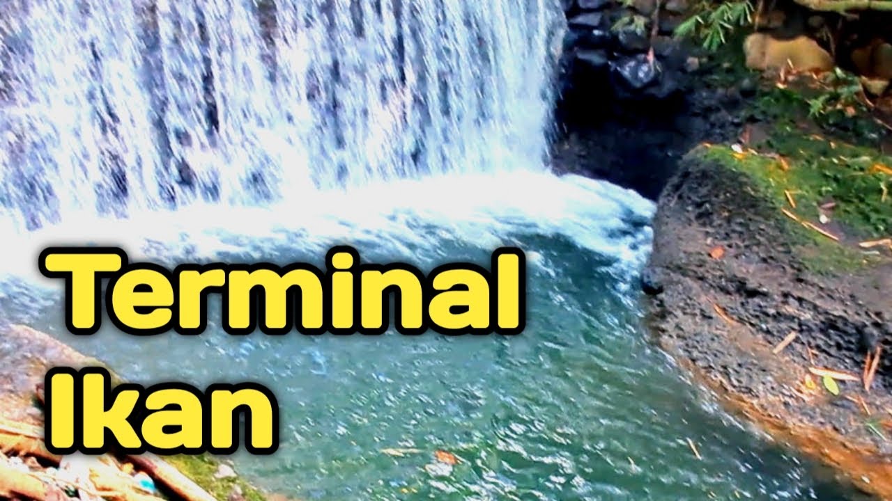 Mancing wader cakul//Mbah Omi Fishing